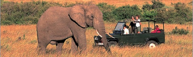 tanzania safaris