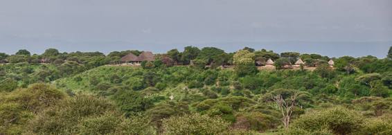 ngorongoro tarangire